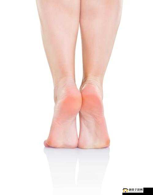 一女不过三精出自哪里：探寻背后的文化根源