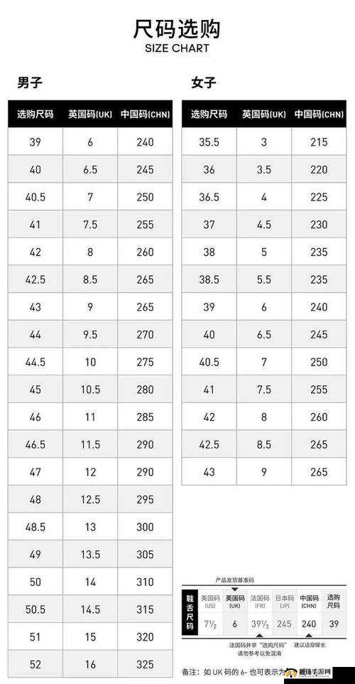 三叶草 M 码和欧洲码区别-你了解多少