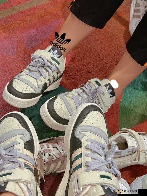 三叶草 gw6797 相关精彩内容