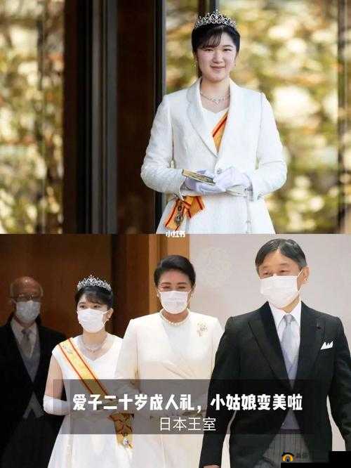 公主成年礼与大臣共使用