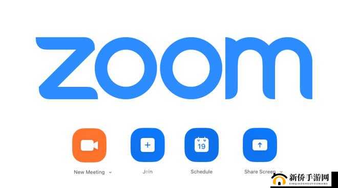 ZOOM 另一类 ZZO03：相关介绍