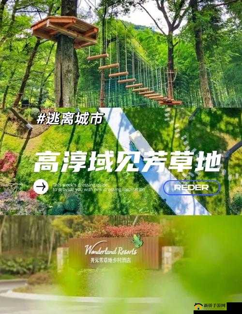 9731 芳草地周边生活好去处