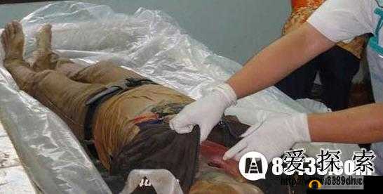 宣靖陵剥皮惨案：揭秘郑贤宇的黑暗真相