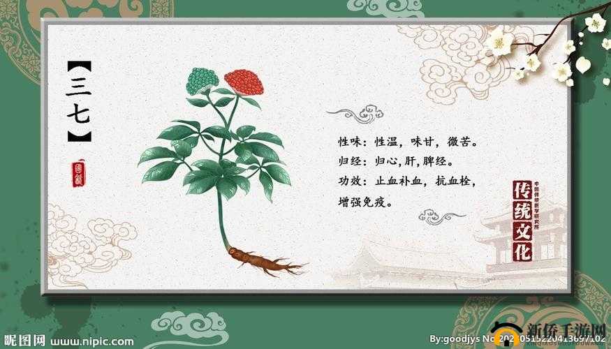 三七大但人文艺术免费：让你感受独特魅力