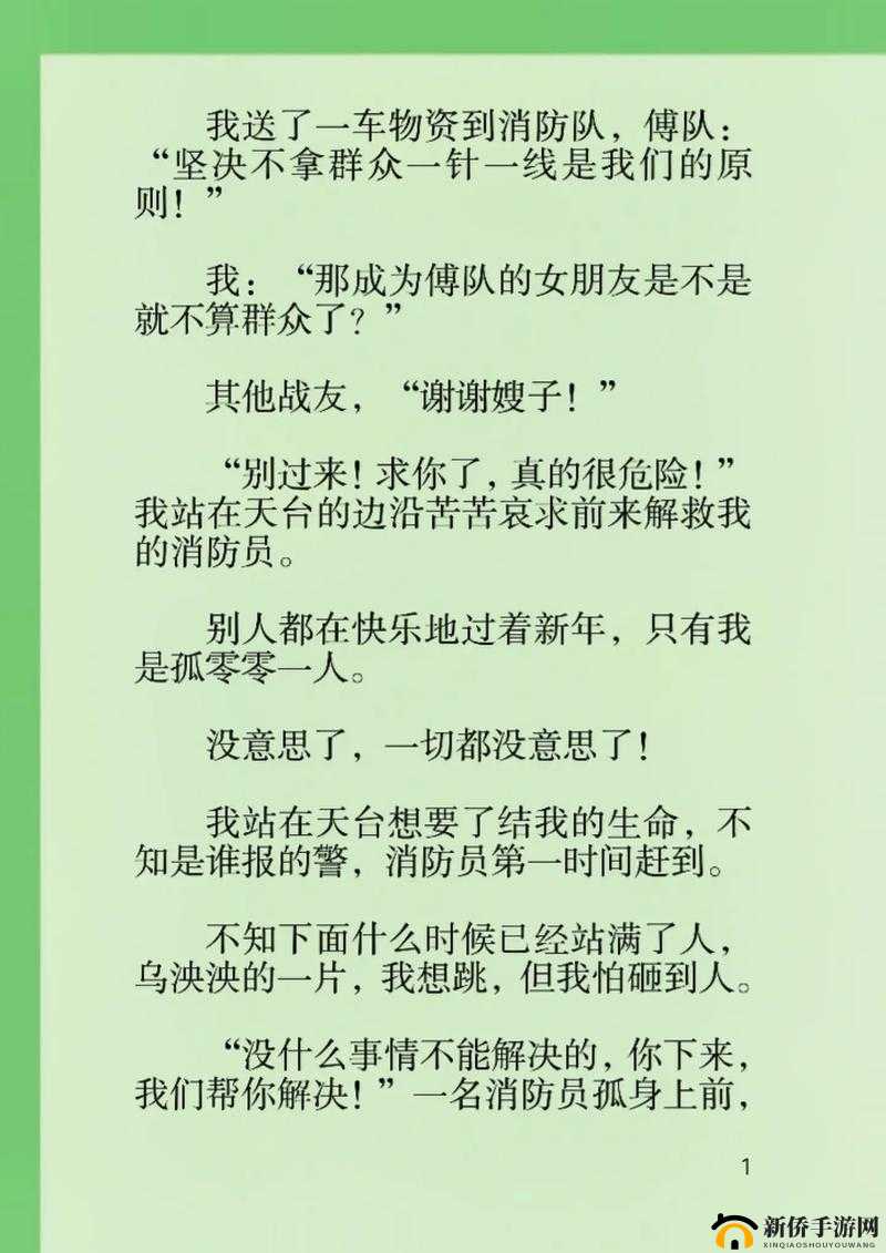 沈芙和五个消防员小说叫什么：烈火中的爱情