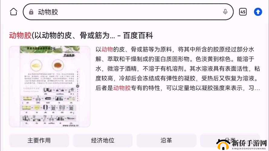 美国人与动物胶配方有几种：探寻其多样性