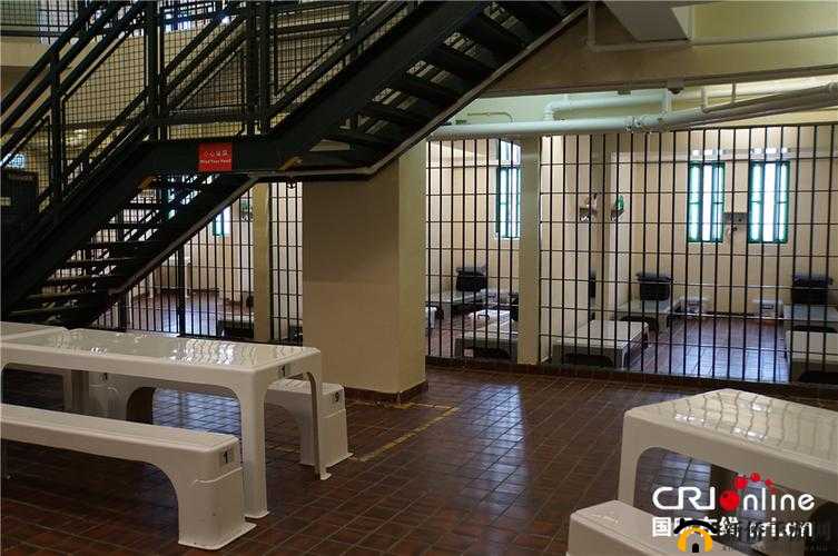 王府惩教养日常木马：日常惩教点滴记录