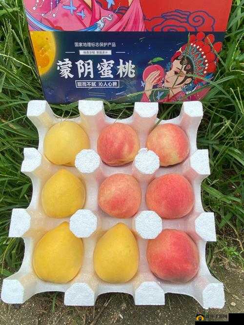 无人一区二区区别是什么红桃：探寻其背后的秘密