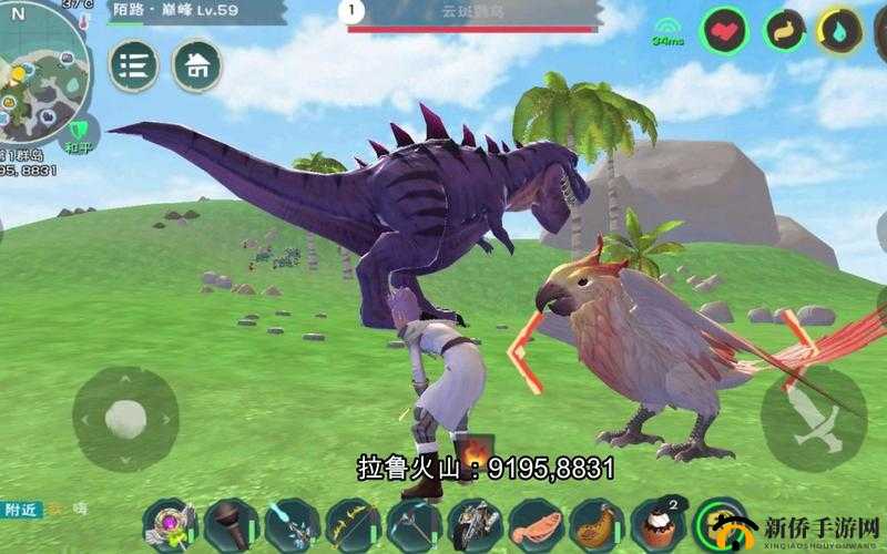 探索创造与魔法：鹦鹉高频出没圣地揭秘