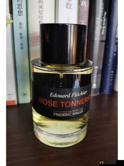 无人区玫瑰与夜色玫瑰的区别：特点解析