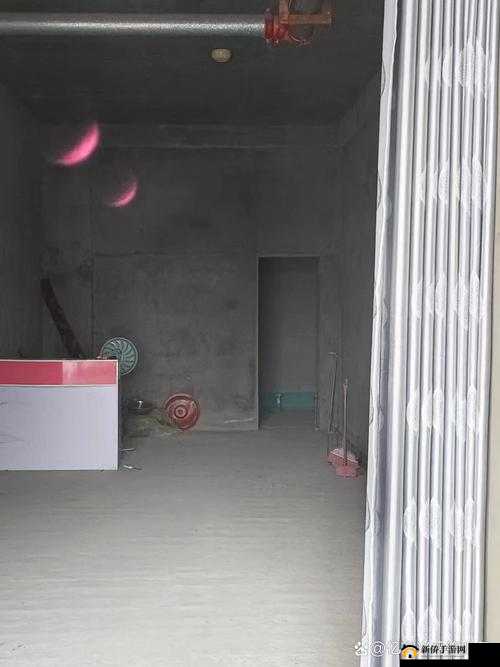 秘密入口链接：探索未知的通道