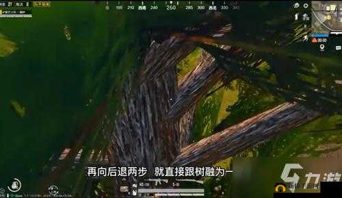 石心城隐蔽战术：树上阴人技巧揭秘