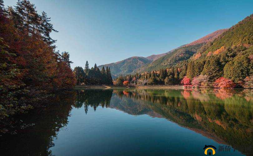 彩虹小蓝 2024：全新的开始