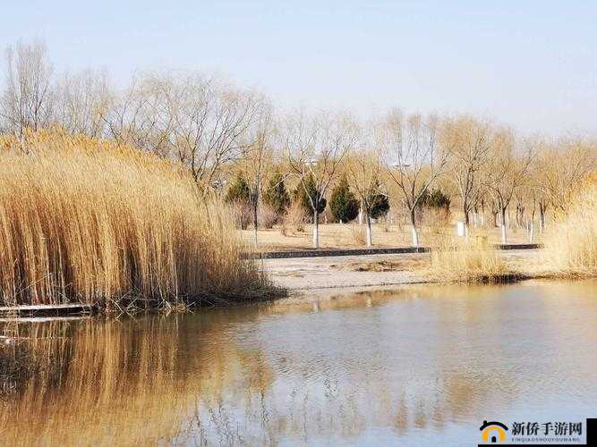 国产精品久久久久野外：探索自然之美