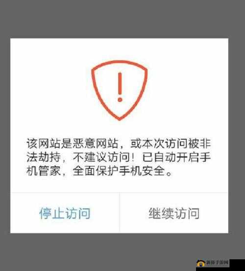 浏览器直接进入网站注意事项要点