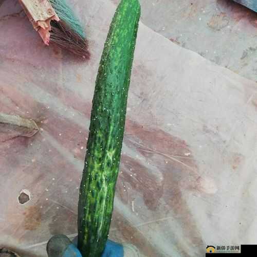 黄瓜皮的好处与坏处