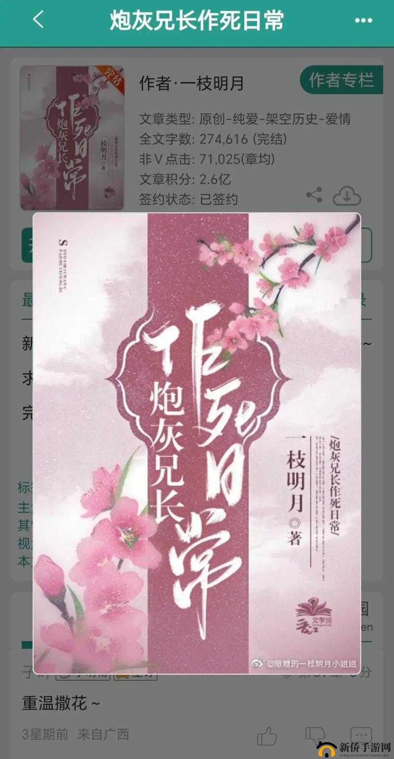 爆炒美人兄长的 100 种方法之创意