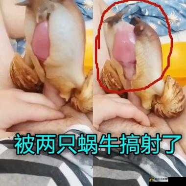 51fun吃瓜网热心群众张炳的故事