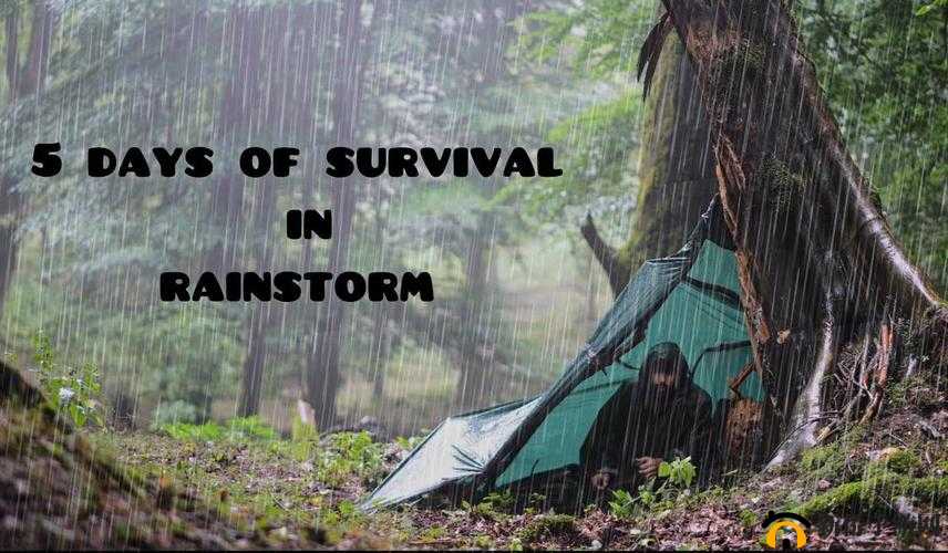 JUL532 外勤雨中求生最新攻略之技巧总结