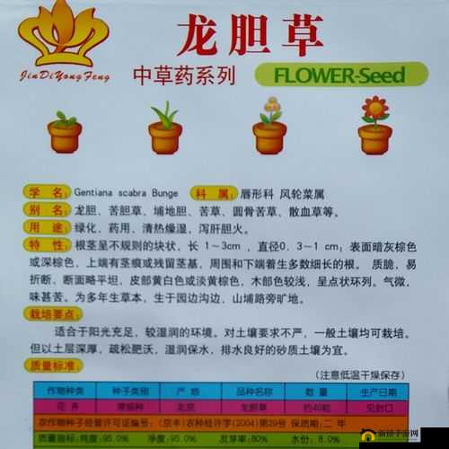 嫩叶草 M 码与澳洲码区别详解