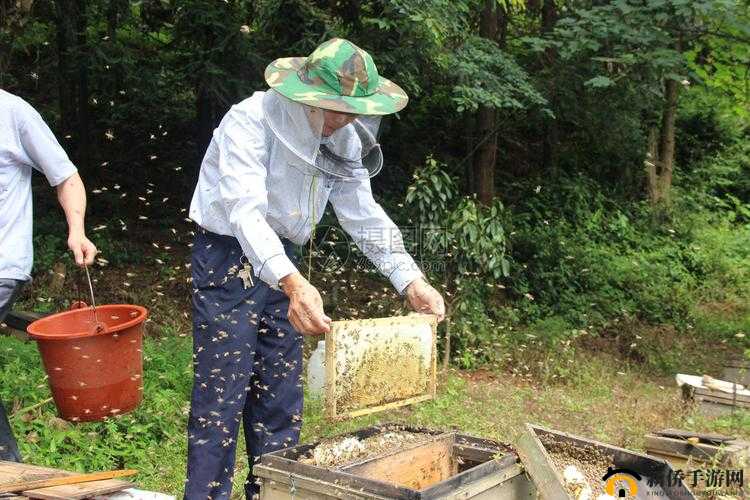 采蜜 1V.1H 方橙采意：独特的采蜜体验