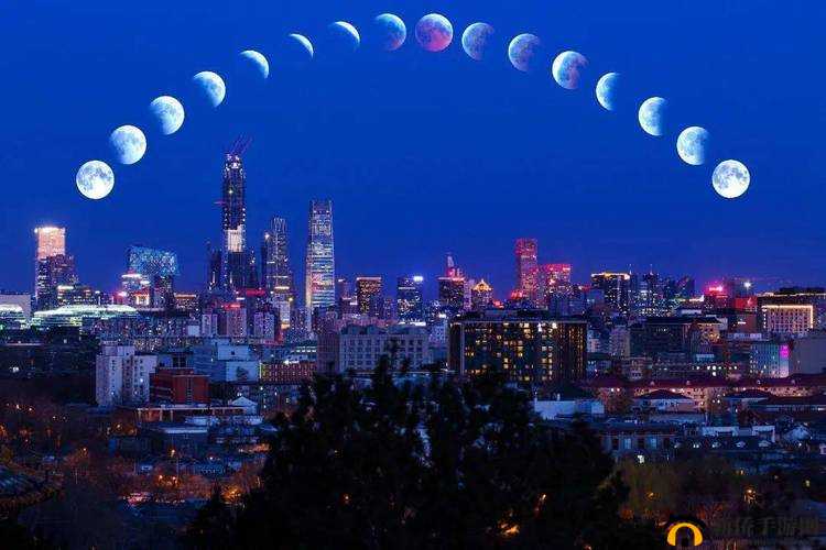 月之制裁，星辰装备的秘密：《问道》中的月亮符号解密