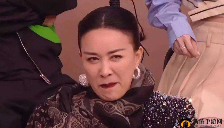 那英BB是什么样子的：探寻其独特魅力