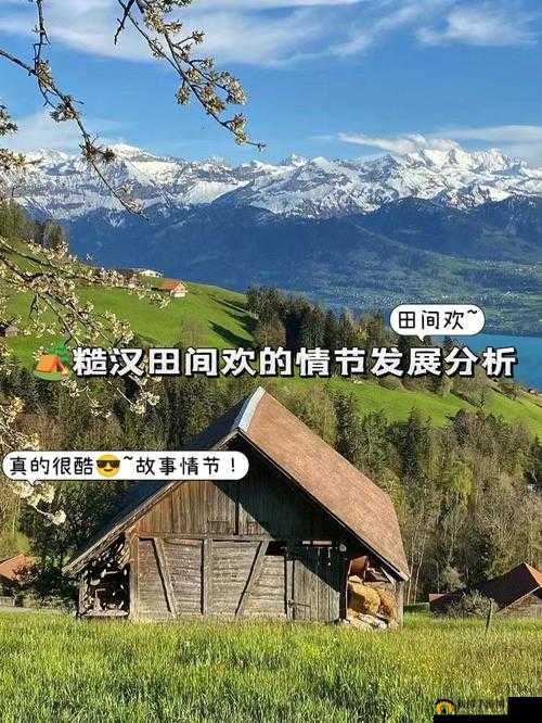 糙汉田间欢的情节发展分析之深度解读