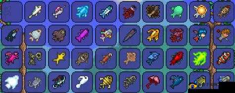 泰拉瑞亚中猪龙鱼的垂钓地点究竟在何处才能找到