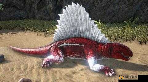 方舟生存进化：探秘异齿龙的独特用途