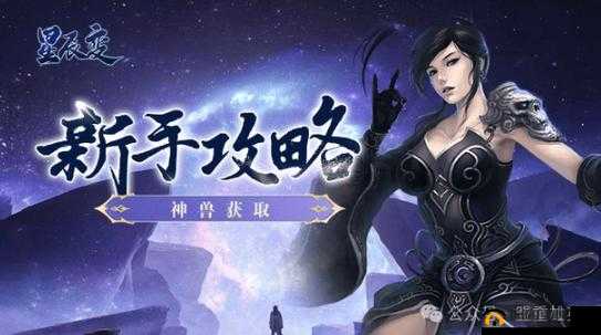 仙弈传说战斗系统全面解析：游戏功能深度探讨