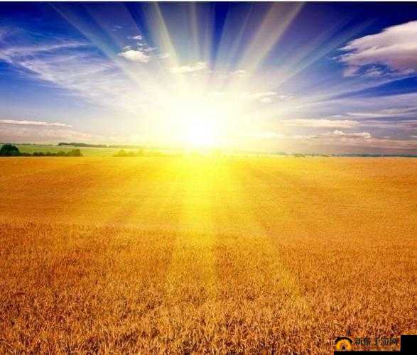 大地资源网 6：资源丰富的宝库