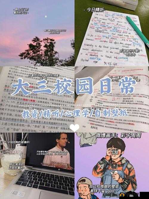 纯朴棒球少年尝到甜头后八重的成长历程