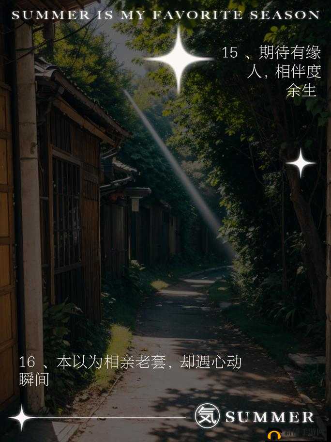 相亲对象 C1V1：缘分的邂逅