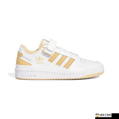 三叶草 gy8566 之探险