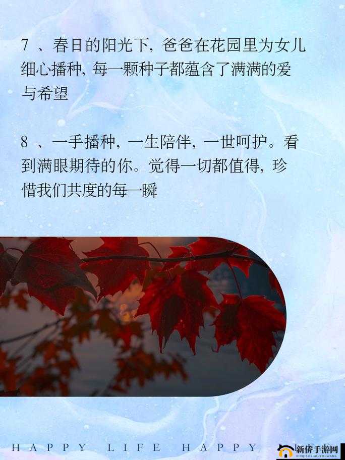 需要爸爸播种：爱的传承与希望