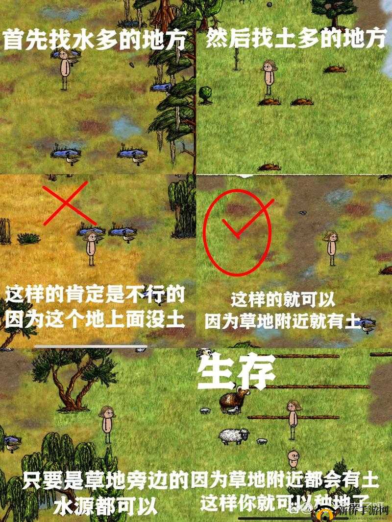 希望之村：各生命阶段发展攻略与玩法指南