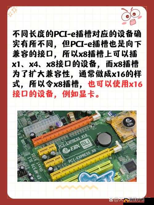 日本插槽 X8：了解其用途