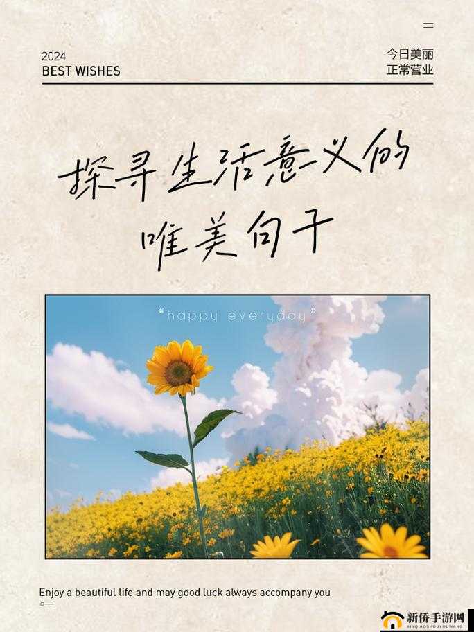 立了是什么样子：探寻其背后的深意