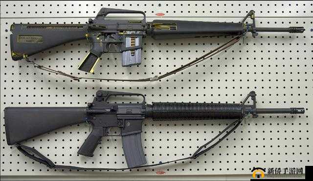 美国一杆枪勇闯无底洞：探寻未知的冒险之旅