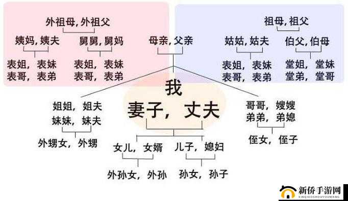 女婿一会叫妈一会叫阿姨什么意思：让人困惑