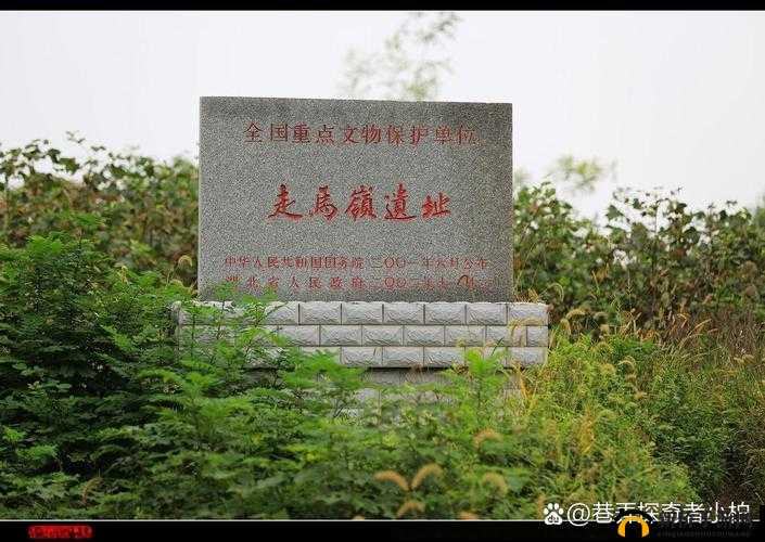 时空猎人兴趣部落究竟位于何处探寻其具体位置与相关信息