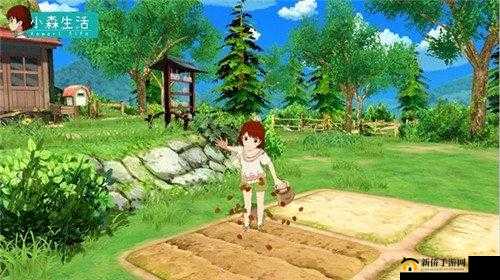 小森生活亚麻种植到收获全攻略：轻松获取自然纤维