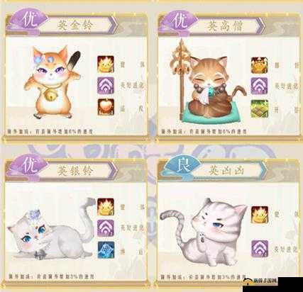 灵猫传：神秘猫猫与强大技能揭秘