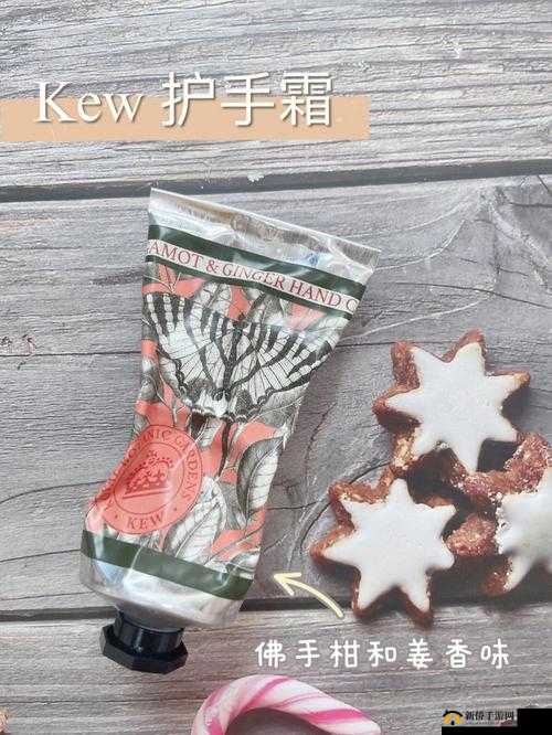 皇家御用小公主银羽的梦幻之旅