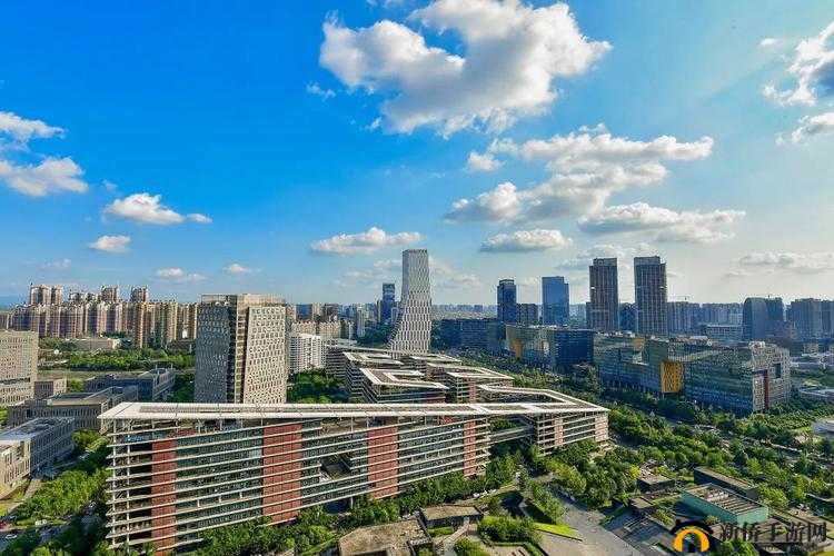 成都香蕉草莓科技有限公司：创新科技引领未来