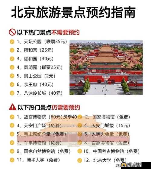 无忧小院欢乐指南：畅游多彩活动