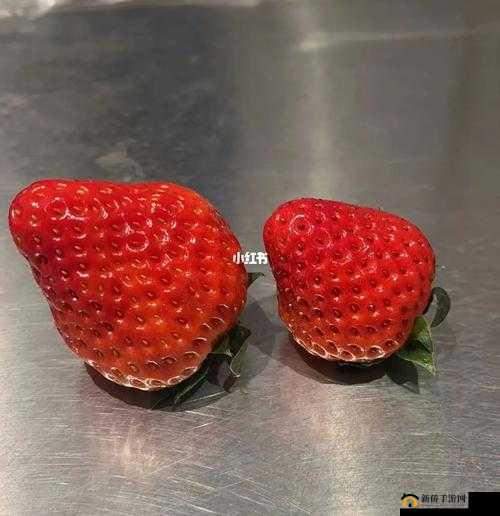 蜜丝婷大草莓与小草莓对比详解