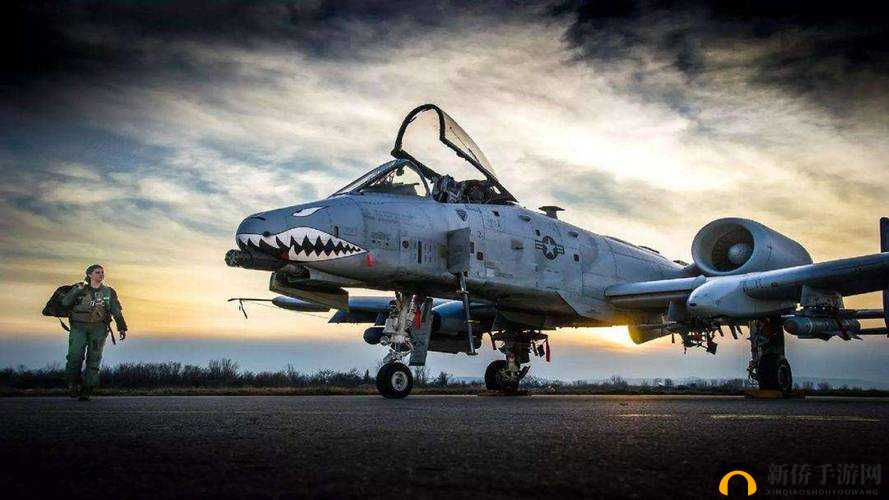 暴躁老阿姨最强武器推荐：教你制霸生活