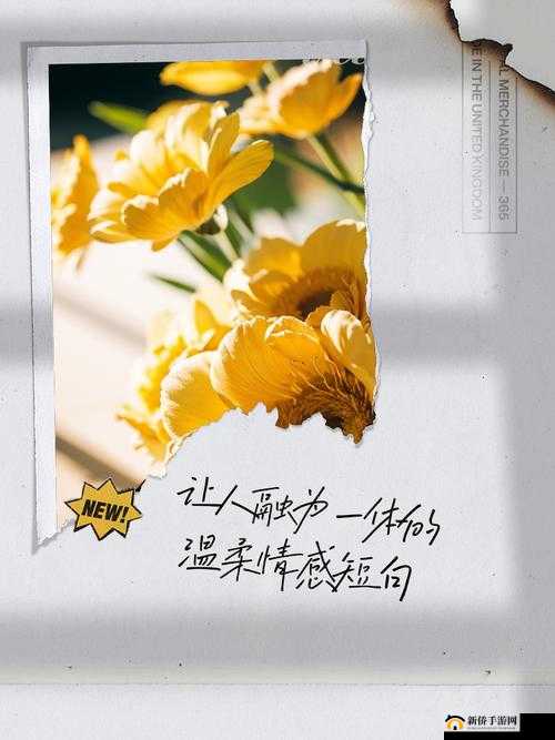 我要与你融为一体：强烈情感表达